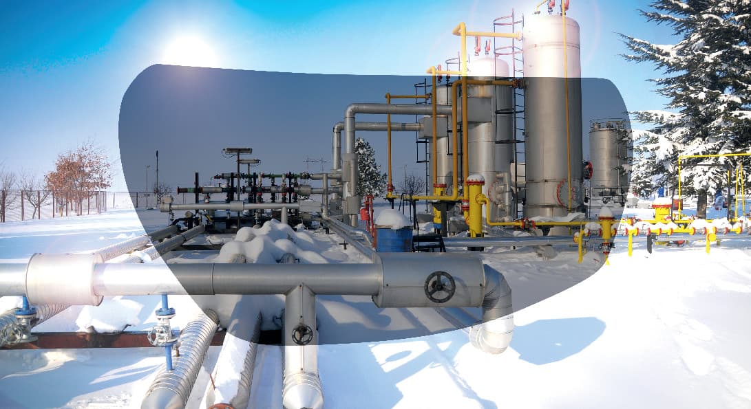 Zorník uvex grey 12%